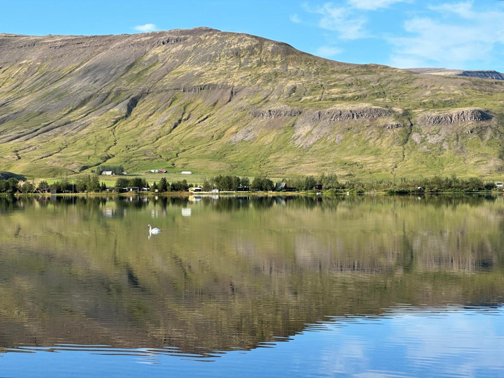 Cosy Lakeview Cabin 45 Minutes From Reykjavik Мосфетльсбаїр Екстер'єр фото